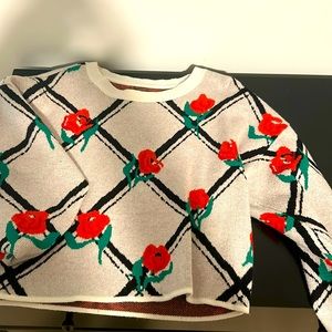 Beautiful anthropology Maeve sweater worn once